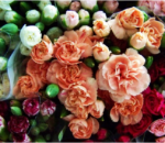 Flowers That Can Make You Happy