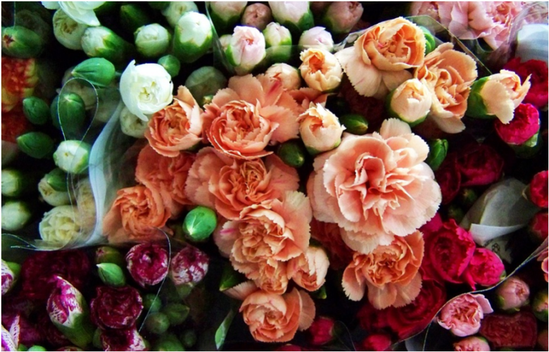 Flowers That Can Make You Happy